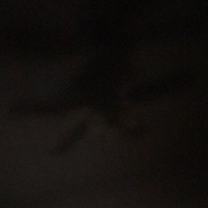 Meet your Posher, Erik